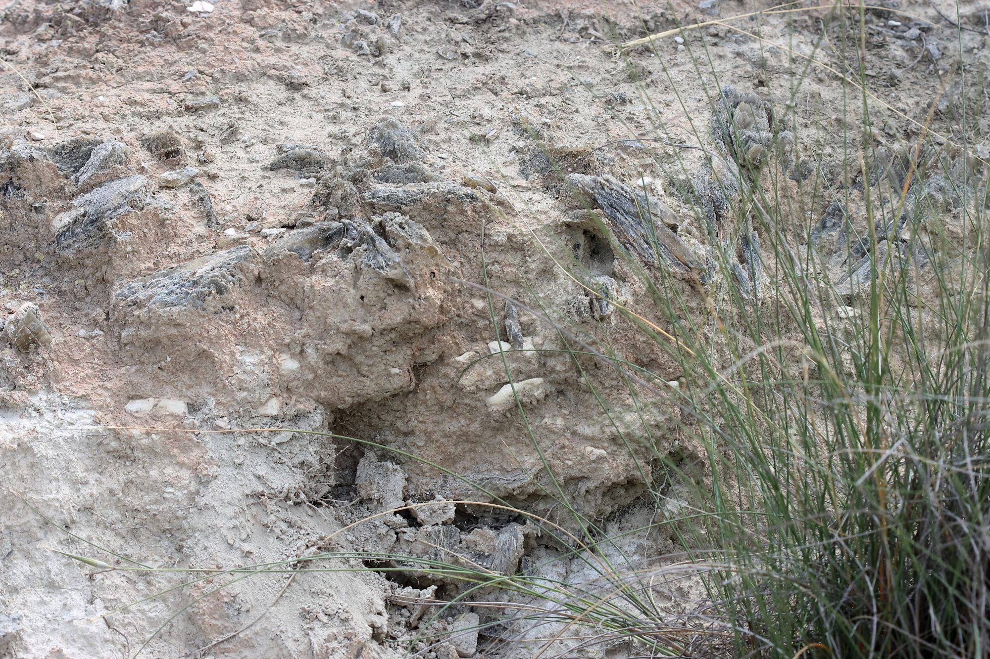 Gypse Gypse Cordillères Bétiques Bassin de Guadix–Baza Baza Hoya de Baza